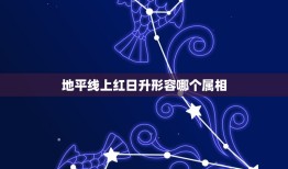 地平线上红日升形容哪个属相，飞轮海成员详细资料