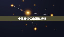 小恩爱情侣家园兑换码，我想问一下小恩爱软件