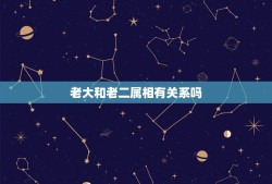 老大和老二属相有关系吗，十二生肖数老大是什么生肖