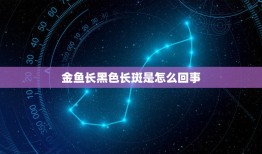 金鱼长黑色长斑是怎么回事，小金鱼身上长黑斑了，不知道是什么病该如何解决