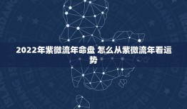 2022年紫微流年命盘 怎么从紫微流年看运势