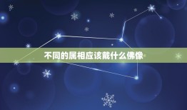 不同的属相应该戴什么佛像，听说不同生肖属相要请不同的本命佛十二生肖守护