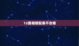 12属相婚配表不合婚(如何避免婚姻破裂)