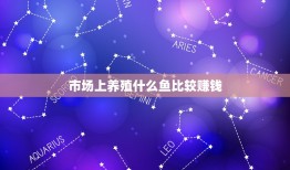 市场上养殖什么鱼比较赚钱，淡水养什么鱼最赚钱