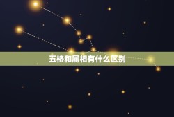 五格和属相有什么区别，属相和生肖有什么区别