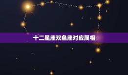 十二星座双鱼座对应属相，星座与属相的关系