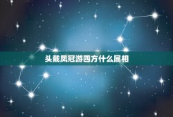 头戴凤冠游四方什么属相，头戴凤冠游四方（猜一生肖）注:不是鸡