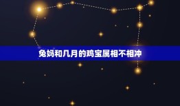 兔妈和几月的鸡宝属相不相冲，虎爸兔妈子虎子鸡2015年五月哪天搬新家好