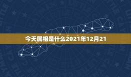 今天属相是什么2021年12月21，2021年今天属相是什么