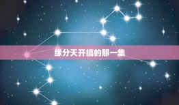 缘分天开搞的那一集，《缘分的天空》第11集发生了什么？