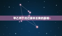 甲乙丙丁戊己庚辛壬癸的属相，甲乙丙丁戊己庚辛壬癸五行都属什么呢？