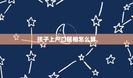 孩子上户口属相怎么算，孩子上户口做亲子鉴定，出生年月怎么算