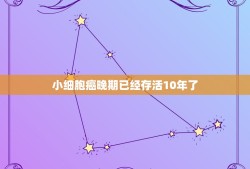 小细胞癌晚期已经存活10年了，小细胞肺癌10年生存期