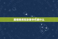 属相老虎在卦象中代表什么，十二生肖老虎属相