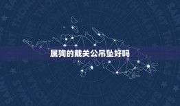 属狗的戴关公吊坠好吗，农历1994年九月十五的生日，生肖属狗名字带有鹏