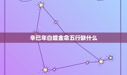 辛巳年白蜡金命五行缺什么，辛巳年生白蜡金命属蛇 纹什么好啊