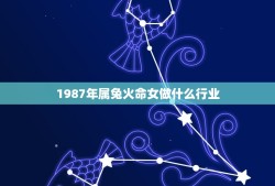 1987年属兔火命女做什么行业(职场指南)