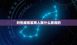 刘恺威杨幂两人属什么属相的，杨幂属什么。