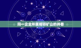 同一企业所属相邻矿山的井巷，但同一企业集团母公司不得与其所属的子公司在