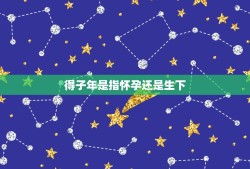 得子年是指怀孕还是生下，立子年是什么？