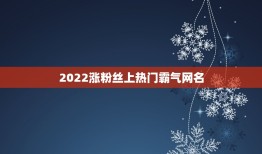 2022涨粉丝上热门霸气网名，涨粉的网名2023