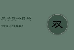 双子座今日运势7月运势(20240613)