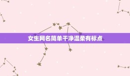 女生网名简单干净温柔有标点，网名女生简单气质温柔