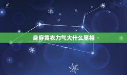 身穿黄衣力气大什么属相，身穿黄衣力气大、它国风情今再现？猜生肖？