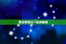 昨日黄花打一生肖属相，昨日黄花，猜一个数字或12生肖是什么