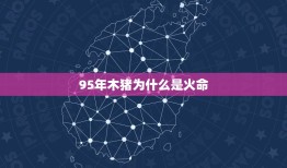 95年木猪为什么是火命，1995年是火猪还是木猪