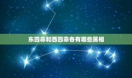 东四命和西四命各有哪些属相，什么是西四命，和东四命，