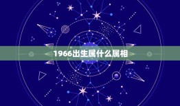 1966出生属什么属相，1966属什么生肖属相属什么