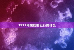 1977年属蛇的五行属什么，1977年属什么生肖