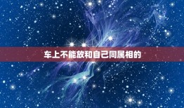 车上不能放和自己同属相的，今年我生肖相冲，不能买车。我可以用没上班的老