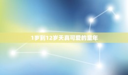 属兔的年龄表2023(兔年生肖人士的年龄计算方法)