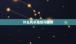 什么风水是招马蜂窝，为什么家里总是有马蜂窝？这样好不好？