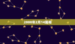 2000年2月14属相，2000年2月14号出生属龙的起刘春生怎么样