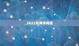 2022年两字网名，2023两字网名