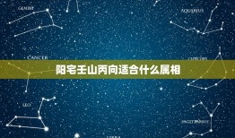 阳宅壬山丙向适合什么属相，壬山丙向阳宅，的大门适合哪些颜色？