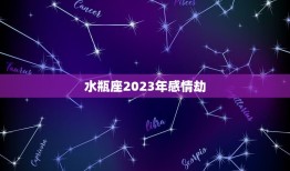 水瓶座2023年感情劫(如何化解)