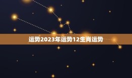 运势2023年运势12生肖运势（全年十二生肖的运势展望和注意事项）