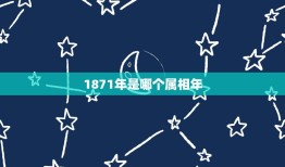 1871年是哪个属相年，请问1871年是平年，下一个平年是哪年？