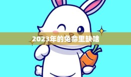 2023年的兔命里缺啥(如何避免兔年不顺)