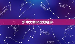 炉中火命86虎取名字(如何为你的宠物起一个独特的名字)