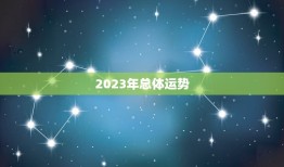 2023年运程卜易居(解读未来运势)