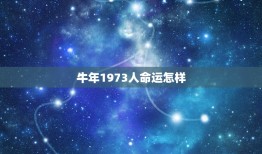 牛年1973人命运怎样，1973属牛女，今年运气怎么样