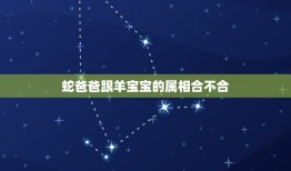 蛇爸爸跟羊宝宝的属相合不合，属蛇的和属羊的属相合不合啊？