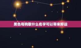 黑色母狗取什么名字可以带来好运，狗狗名字带来好运