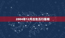 2004年12月出生五行属相，2004年12月24日丑时阳历出生男命五