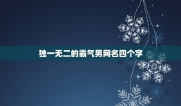 独一无二的霸气男网名四个字，独一无二的霸气男网名两个字